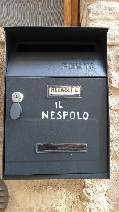Appartamento Il Nespolo San Gimignano Dış mekan fotoğraf